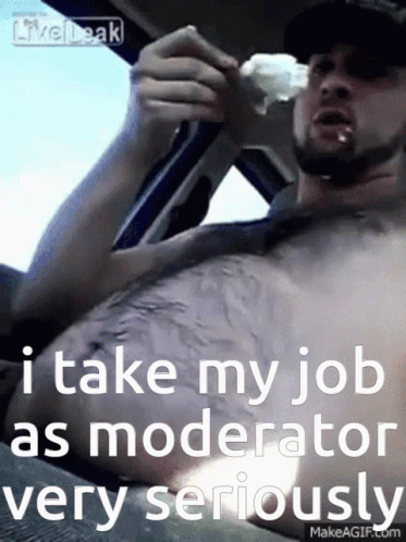 A Shirtless Man In A Car Says " I Take My Job As Moderator Very Seriously " GIF