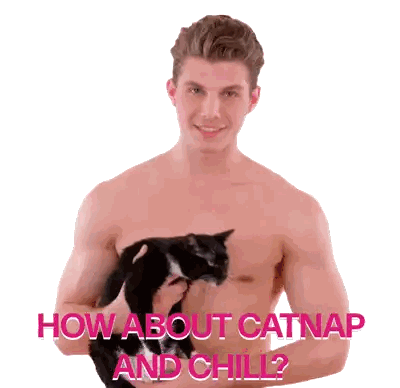 a shirtless man is holding a black cat with the words how about catnap and chill
