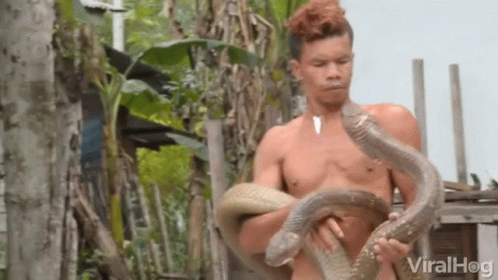A Shirtless Man Is Holding Two Snakes In His Hands And The Words Viralhog Are Visible In The Corner GIF