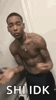 A Shirtless Man Is Standing In A Bathroom With His Arms Outstretched And A Necklace Around His Neck . GIF