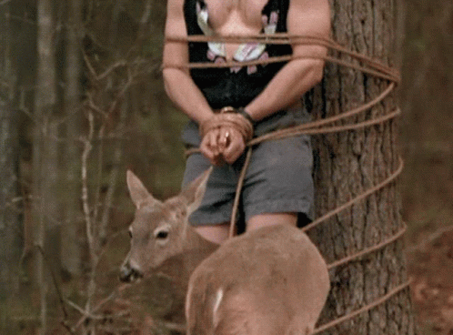 A Shirtless Man Tied To A Tree With Ropes GIF