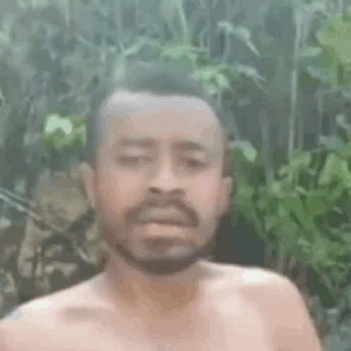 A Shirtless Man With A Beard Is Making A Funny Face In Front Of Trees . GIF