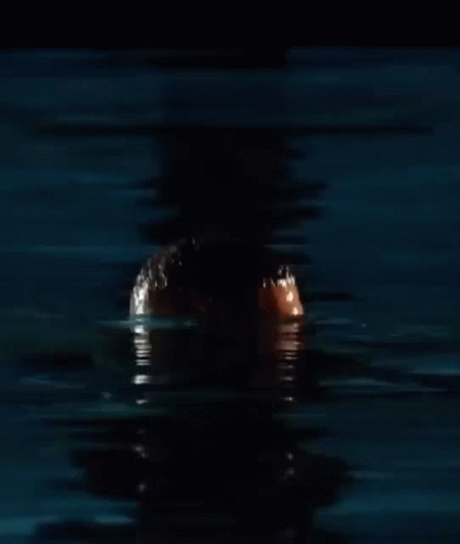 A Shirtless Man With A Beard Is Swimming In A Pool . GIF