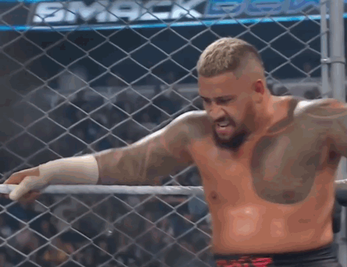 A Shirtless Wrestler In A Cage With The Word Smack On The Back GIF