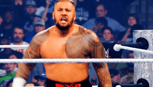 A Shirtless Wrestler In A Ring With The Letter V On His Shorts GIF