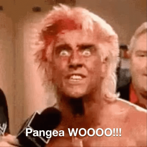 A Shirtless Wrestler Is Talking Into A Microphone And Says Pangea Wooo !!! GIF