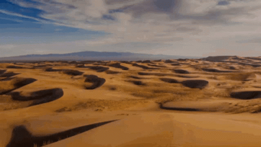 A Show In The Desert GIF