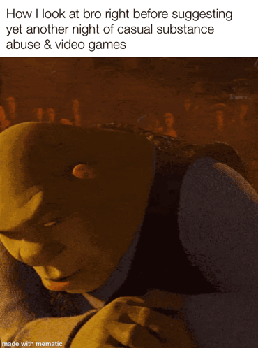 A Shrek Meme That Says How I Look At Bro Right Before Suggesting Another Night Of Casual Substance Abuse & Video Games GIF