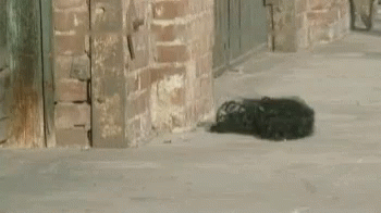 A Sidewalk With A Brick Wall And A Few Cars Parked On It GIF