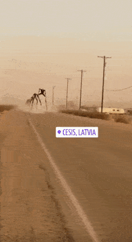 A Sign On The Side Of A Road That Says ' Cesis Latvia ' GIF