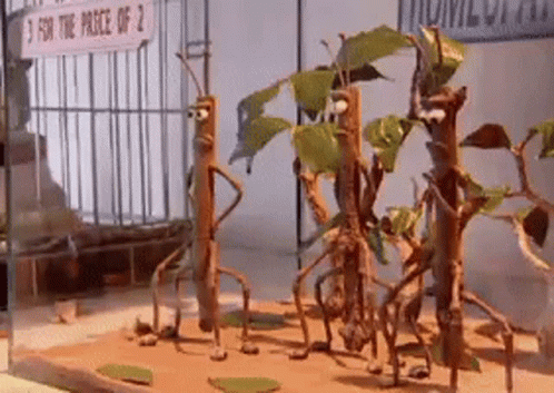 A Sign That Says 3 For The Price Of 2 GIF