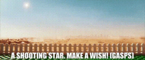 A Sign That Says A Shooting Star Make A Wish I Gasps GIF