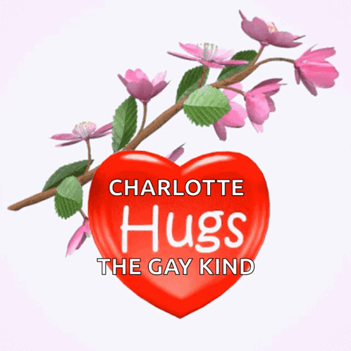 A Sign That Says Charlotte Hugs The Gay Kind GIF