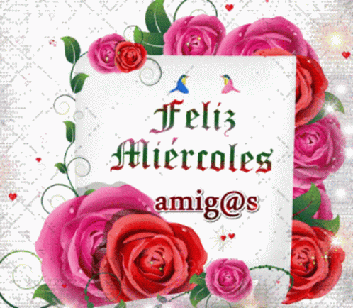 A Sign That Says Feliz Miercoles Amigo @ S Is Surrounded By Pink Roses GIF