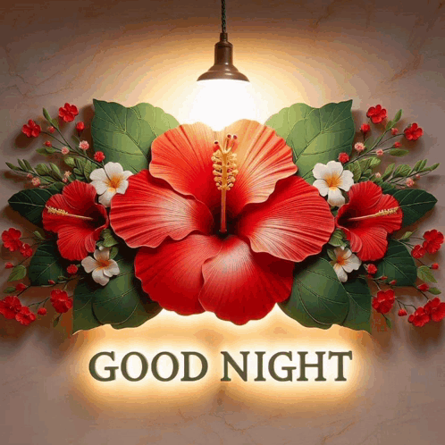 A Sign That Says Good Night With Flowers And Leaves On It GIF