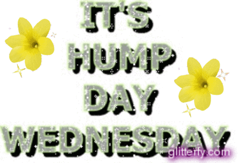 A Sign That Says ' It 'S Hump Day Wednesday ' On It GIF