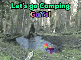 A Sign That Says Let 'S Go Camping Gays In The Woods GIF