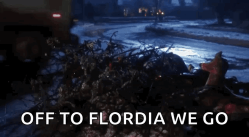 A Sign That Says Off To Flordia We Go In Front Of A Snowy Street GIF