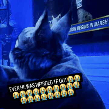 A Sign That Says Sion Begins In Marsh Behind A Dog GIF