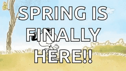 a sign that says spring is finally here with snoopy on it
