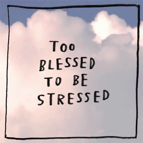 A Sign That Says Too Blessed To Be Stressed On It GIF