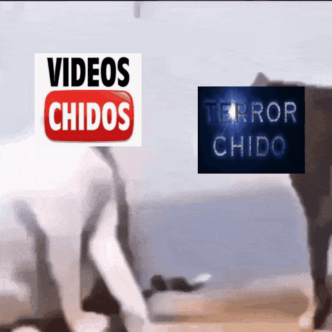 Sign Saying Videos Chidos Next To Horse GIF