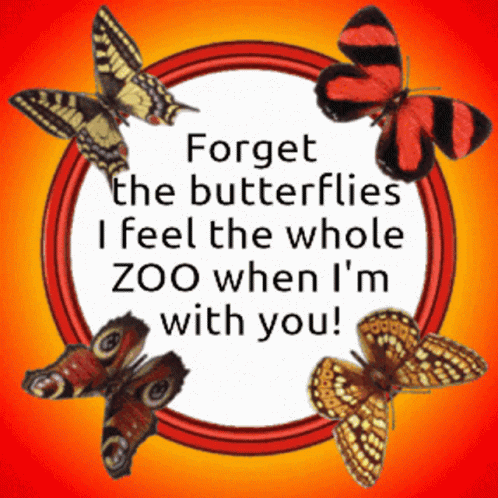 A Sign With Butterflies And The Words Forget The Butterflies I Feel The Whole Zoo When I 'M With You GIF
