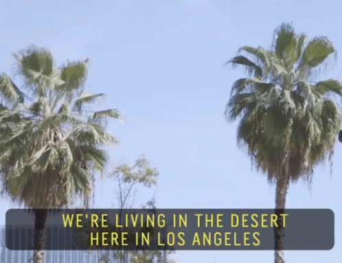 A Sign With Palm Trees And The Words We 'Re Living In The Desert Here In Los Angeles GIF