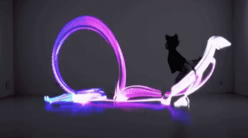 A Silhouette Of A Cat Is Being Projected On A Wall . GIF
