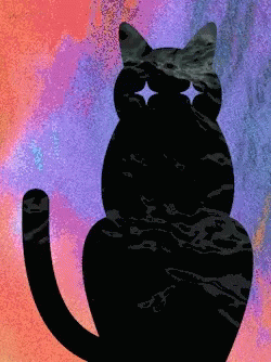 A Silhouette Of A Cat With Stars In Its Eyes On A Colorful Background GIF
