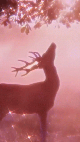 A Silhouette Of A Deer With Antlers Standing In A Field With A Pink Background . GIF