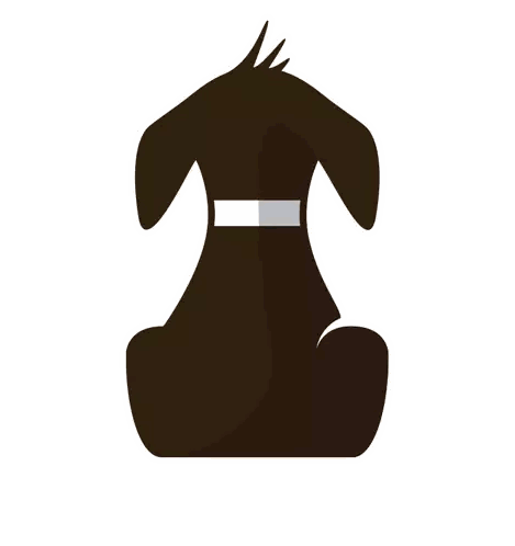 a silhouette of a dog with a white collar on