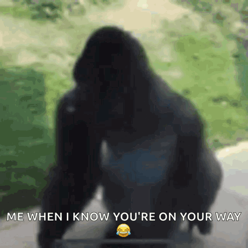 a silhouette of a gorilla with the words me when i know you 're on your way