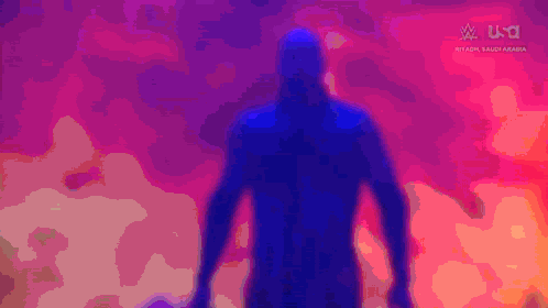 A Silhouette Of A Man Stands In Front Of A Colorful Background That Says W U.s.t. GIF