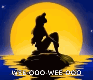 A Silhouette Of A Mermaid Sitting On A Rock In Front Of A Full Moon In The Ocean . GIF