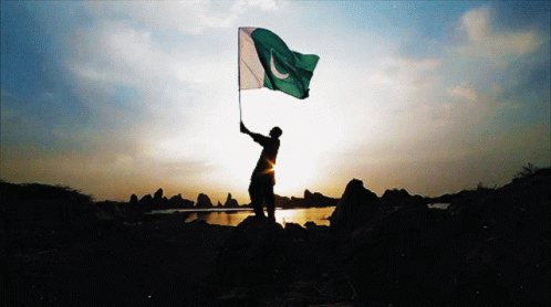 A Silhouette Of A Person Holding A Flag In Front Of A Lake GIF