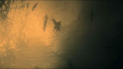 A Silhouette Of A Person In The Water With A Yellow Background GIF