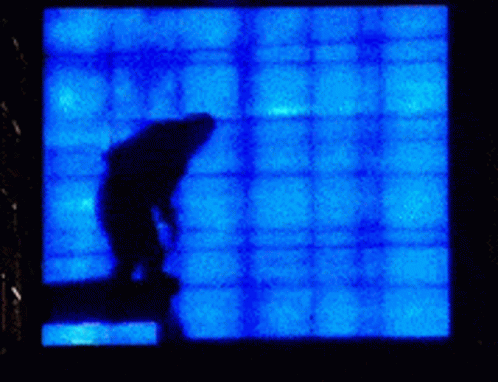 a silhouette of a person is against a blue background