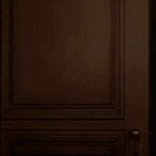 A Silhouette Of A Person Is Visible Through A Door GIF