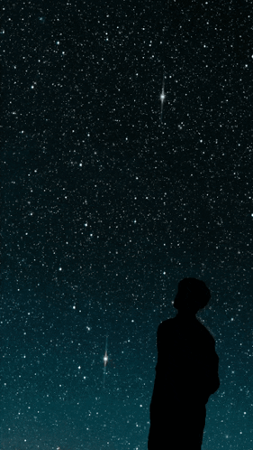 A Silhouette Of A Person Looking Up At A Starry Sky GIF