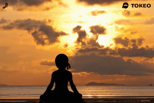 A Silhouette Of A Person Sitting On A Beach With A Tokeo Logo In The Corner GIF