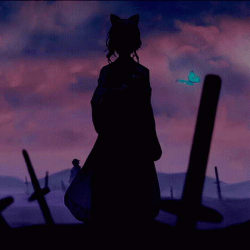 A Silhouette Of A Person Standing In A Field With Swords In The Foreground GIF