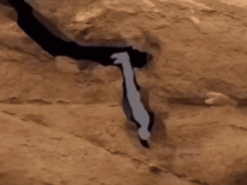 A Silhouette Of A Person Standing On A Rock GIF