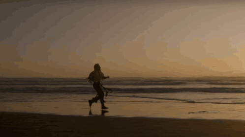 A Silhouette Of A Person Walking On The Beach At Sunset GIF