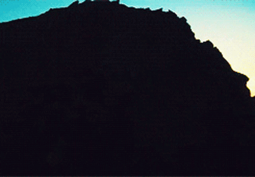 A Silhouette Of A Person With A Bird Flying In The Sky GIF