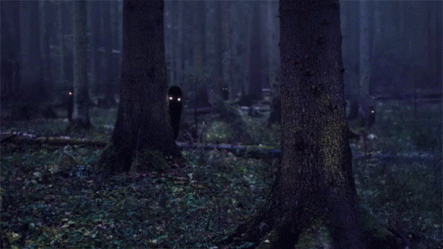 A Silhouette Of A Person With Glowing Eyes Is Standing In A Dark Forest GIF