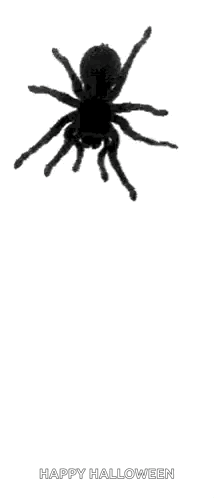 A Silhouette Of A Spider On A White Background With The Words `` Happy Halloween '' Written Below It . GIF