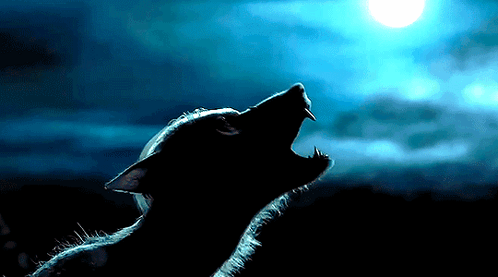 A Silhouette Of A Werewolf Howling At A Full Moon GIF