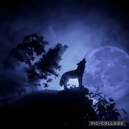 A Silhouette Of A Wolf Howling At A Full Moon GIF