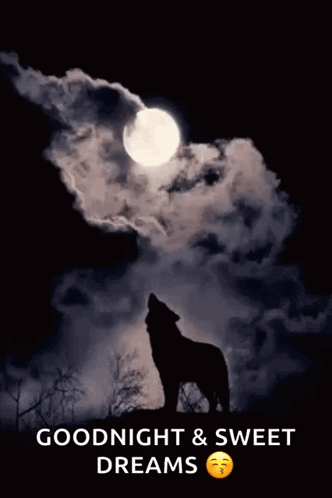 A Silhouette Of A Wolf Howling At The Moon With The Words Goodnight & Sweet Dreams Below It GIF